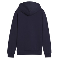 Puma Team Goal Casuals Hoddy Jr sweatshirt 658619 06 (164cm)