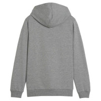 Puma Team Goal Casuals Hoddy Jr sweatshirt 658619 33 (128cm)