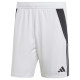 Adidas Tiro 24 M shorts IR9380 (S (173cm))