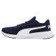 Puma Night Runner V2 M shoes 379257 03 (40,5)