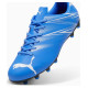 Puma Attacanto FG/AG M 107477 09 shoes (44)