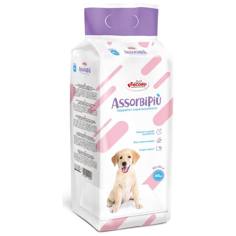 Record Paladziņ&scaron; AssorbiPiu 60x60cm 40gb.