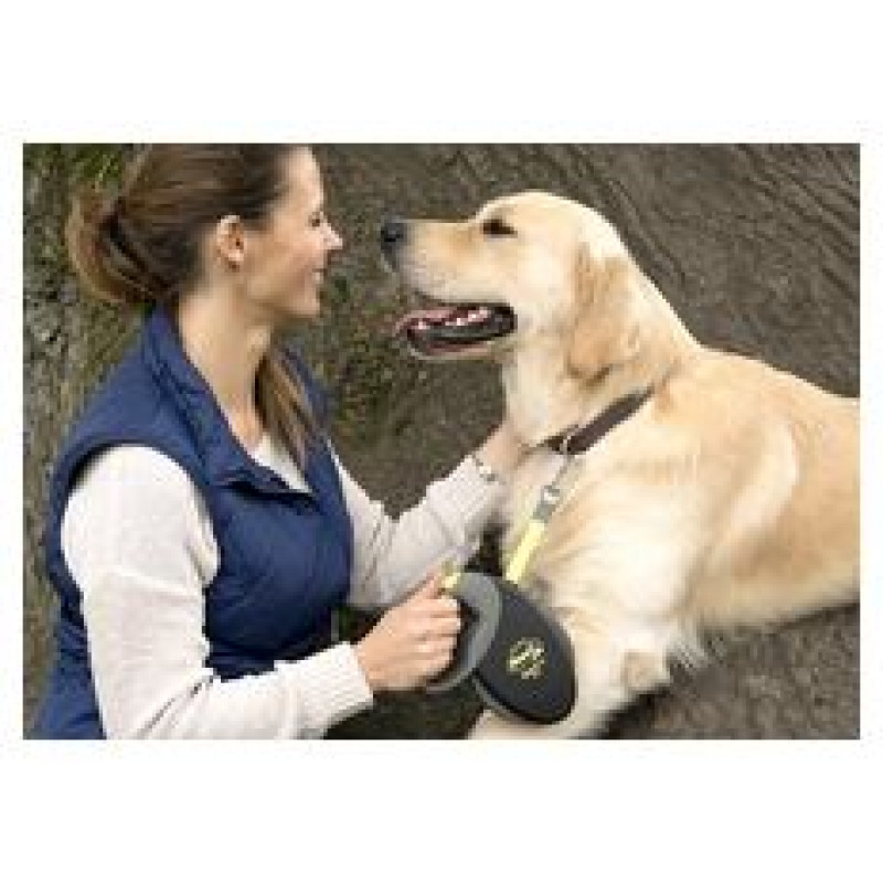 Flexi Giant Neon M 8m - pavada suņiem