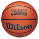 Wilson 2025 NBA All Star Replica Ball WZ2022601XB Basketball (7)