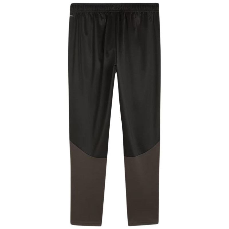 Puma Team Goal Training Pants M 658639 03 (M)