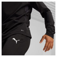 Puma Team Goal Training Pants M 658639 03 (M)