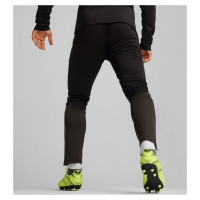 Puma Team Goal Training Pants M 658639 03 (2 XL)