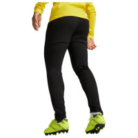 Puma Team Goal Slim Training Pants M 659037 03 (XL)