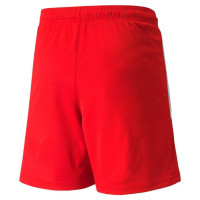 Puma teamLIGA Jr 704931 01 shorts (152cm)