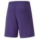 Puma teamRise Short Prist M 704942 10 (XL)