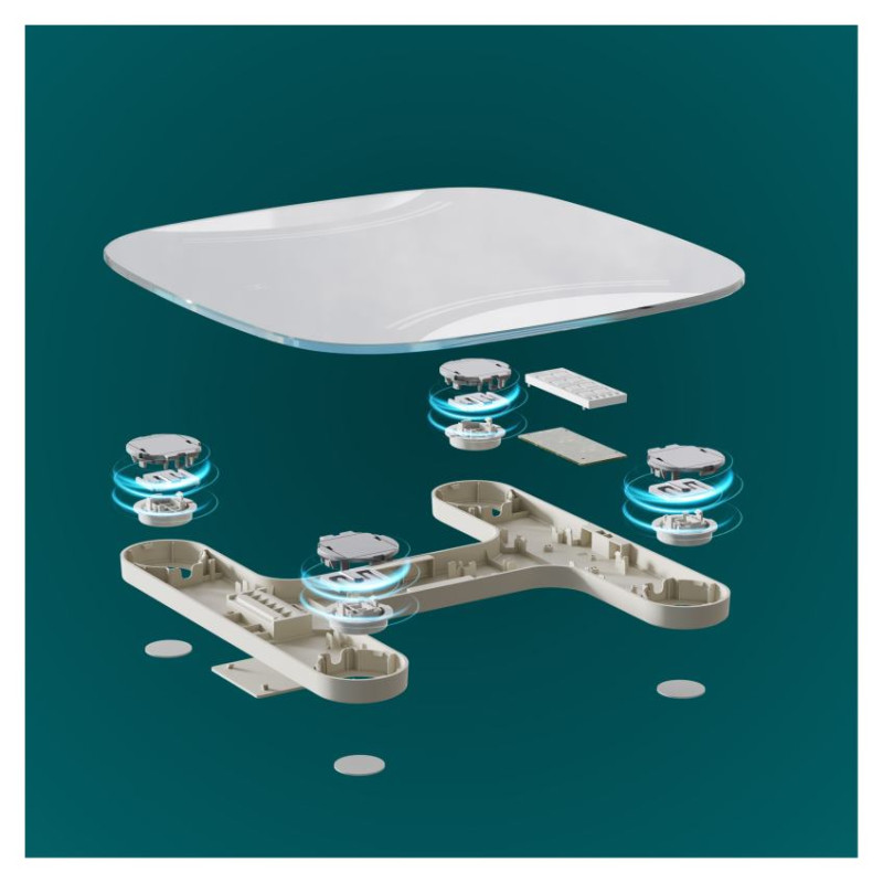 Homedics SCL-B125-SV3R Essential Body Weight Scale