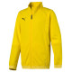 Puma Liga Training Jacket Junior 655688 07 (140cm)
