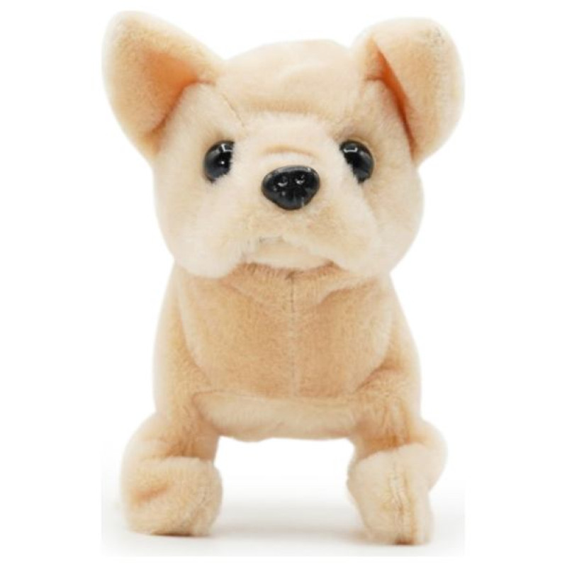 Pugs At Play Staigājo&scaron;s suns Chili