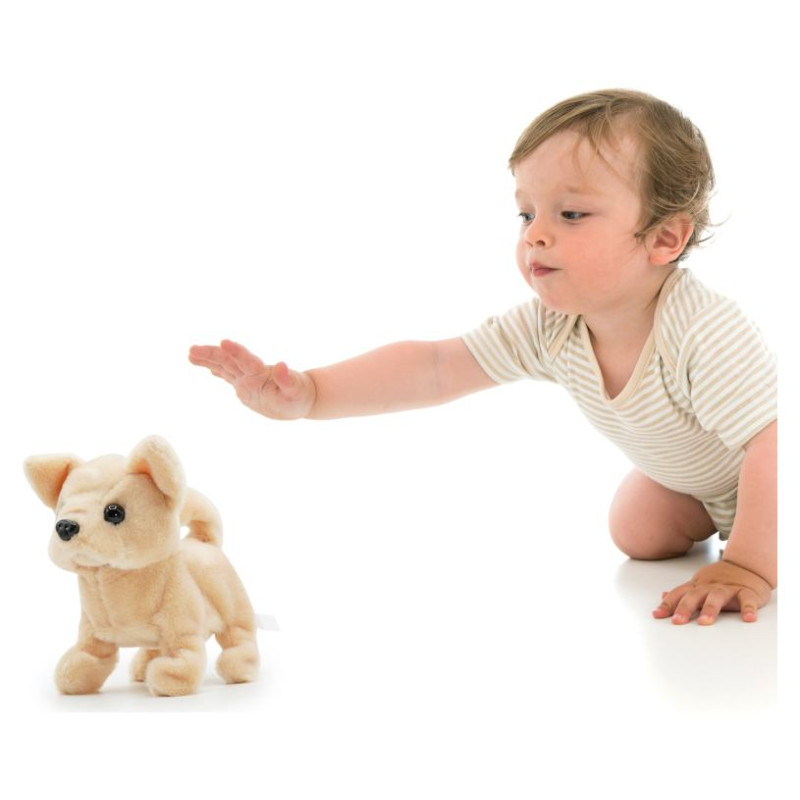 Pugs At Play Staigājo&scaron;s suns Chili