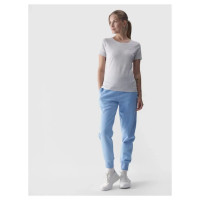 4F Women's T-shirt 4F 4FWMM00TTSHF1845-27M (L)