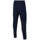 Nike Park 20 Fleece Jr CW6909-451 pants (122 cm)