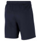 Nike Park 20 Short M CW6910-451 (2XL)