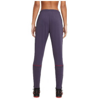 Nike Dri-FIT Academy W CV2665-573 Pants (S)