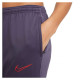 Nike Dri-FIT Academy W CV2665-573 Pants (S)