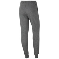 Nike Park 20 Fleece Pants W CW6961-071 (S)
