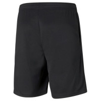 Puma teamRISE M 657336 03 shorts (M)