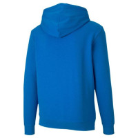 Puma TeamGoal 23 Casuals M 656580-02 sweatshirt (S)