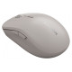 Canyon mouse MW-12 Dual band Wireless Beige