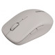 Canyon mouse MW-12 Dual band Wireless Beige