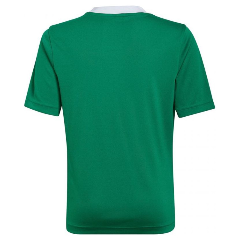 Adidas T-shirt adidas Entrada 22 Jersey Jr HI2126 (176cm)