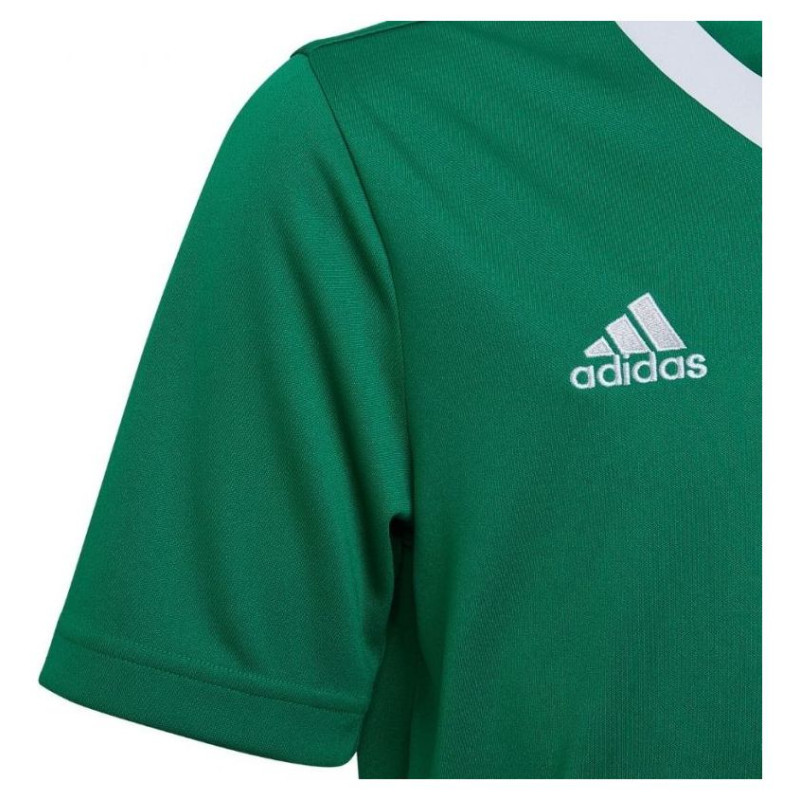 Adidas T-shirt adidas Entrada 22 Jersey Jr HI2126 (176cm)