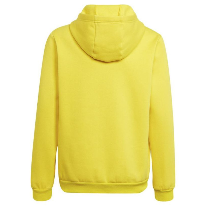 Adidas Sweatshirt adidas Entrada 22 Hoody Y Jr HI2142 (152 cm)