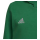 Adidas Sweatshirt adidas Entrada 22 Hoody Y Jr HI2143 (116 cm)