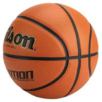 Wilson Evolution Indoor Game Ball WTB0586XBEMEA (6)