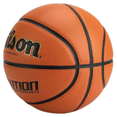 Wilson Evolution Indoor Game Ball WTB0586XBEMEA (6)