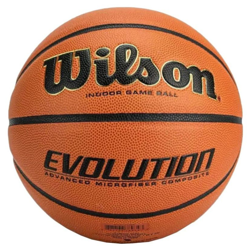 Wilson Evolution Indoor Game Ball WTB0586XBEMEA (6)