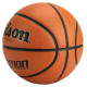 Wilson Evolution Indoor Game Ball WTB0586XBEMEA (6)