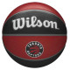 Wilson Ball Wilson NBA Team Toronto Raptors Ball WTB1300XBTOR (7)