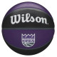 Wilson Ball Wilson NBA Team Sacramento Kings Ball WTB1300XBSAC (7)