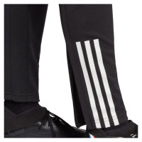 Adidas Tiro 23 Competition Training W pants HI5973 (M)