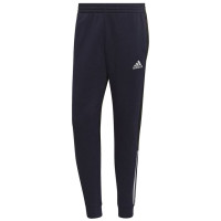 Adidas Essentials Colorblock Fleece M HK2884 pants (S)