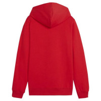 Puma Team Goal Casuals Hoddy Jr sweatshirt 658619 01 (128cm)