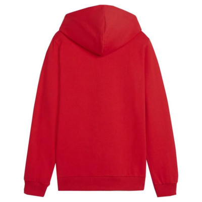 Puma Team Goal Casuals Hoddy Jr sweatshirt 658619 01 (128cm)