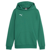 Puma Team Goal Casuals Hoddy Jr sweatshirt 658619 05 (164cm)