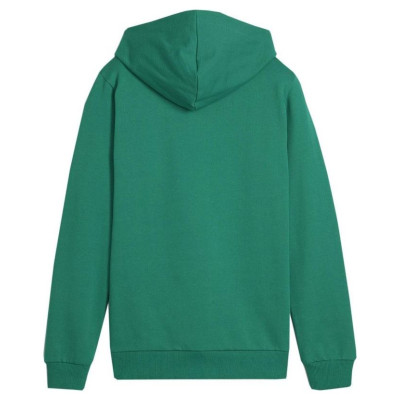 Puma Team Goal Casuals Hoddy Jr sweatshirt 658619 05 (164cm)