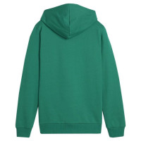 Puma Team Goal Casuals Hoddy Jr sweatshirt 658619 05 (164cm)