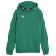 Puma Team Goal Casuals Hoddy Jr sweatshirt 658619 05 (164cm)