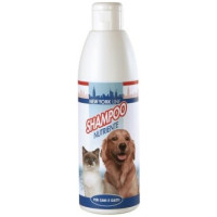 Record NewYORK barojošs šampūns 250ml