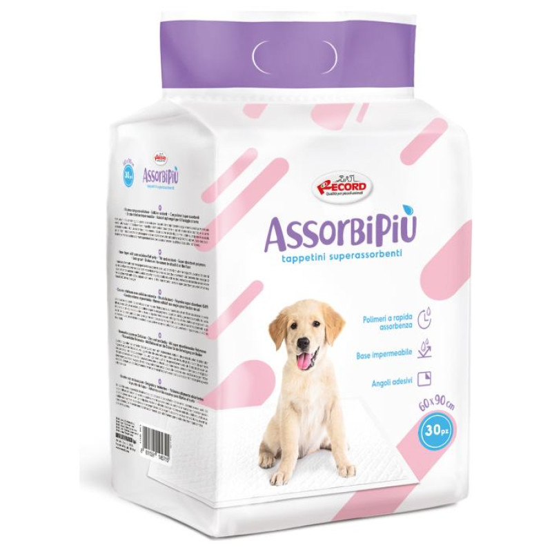 Record Paladziņ&scaron; AssorbiPiu 60x90cm 30gb.