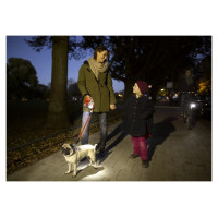 Flexi LED Lighting System light grey - lukturītis
