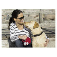 Flexi New Classic L 8m black (lente) - pavada suņiem